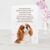 Dog Sympathy Cocker Spaniel Spiritual Poem