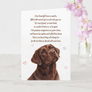 Dog Sympathy Loss Chocolate Lab Spiritual Card