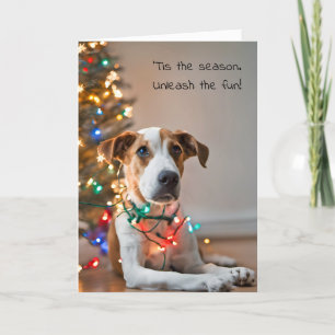 Dog Tangled In Holiday Lights Card