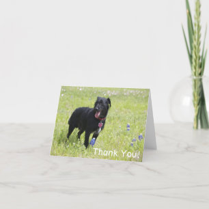 Dog Thank You Card