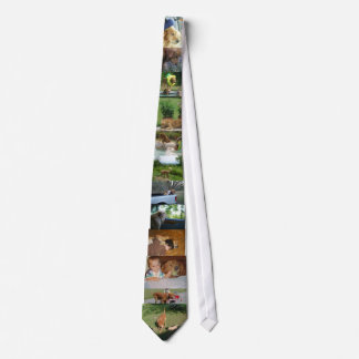 dog tie