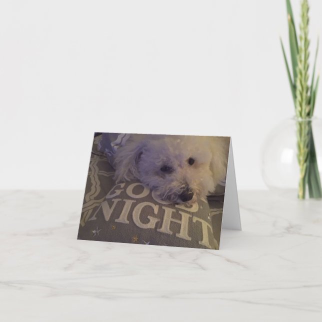 "Dog Tired" Notecard (Front)