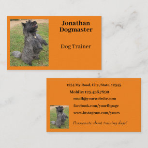 Dog Trainer Photo Orange Citrus Background Minimal Business Card