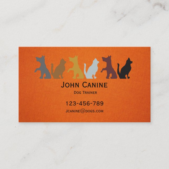 Dog Trainer stylish modern professional Business Card (Front)