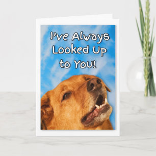 Dog Trainer Thank You   Golden Retriever Card