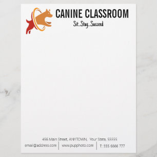 Dog Training Business Custom  Letterhead
