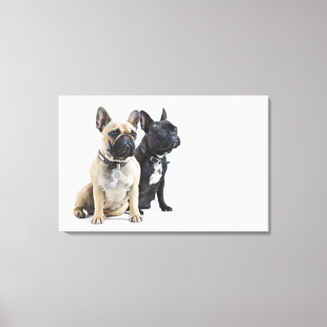 Dog training & obedience canvas print (Front)