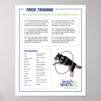 Dog Trick Training Poster