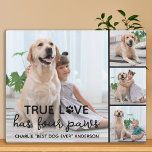 DOG True LOVE Personalized Dog Lover 4 Picture Plaque<br><div class="desc">True Love Has Four Paws ! Celebrate your best friend with a custom unique dog photo plaque and keepsake. Surprise your favourite dog lover, whether is a birthday, Mother's day, valentines day, or Christmas with this cute love photo dog plaque. This True Love with paw print design dog photo plaque...</div>