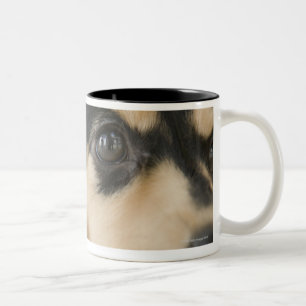 Dog Two-Tone Coffee Mug