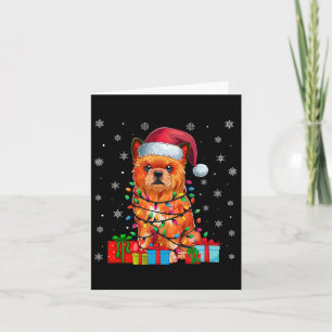 Dog Ugly Xmas Lights Santa Hat Brussels Griffon Ch Card