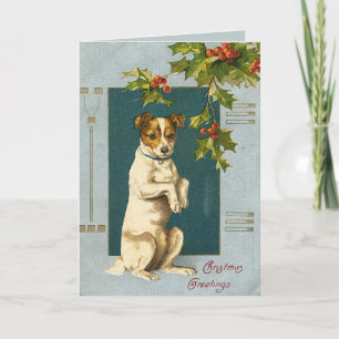 Dog under a holly branch -vintage christmas card