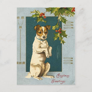 Dog under a holly branch -vintage christmas card