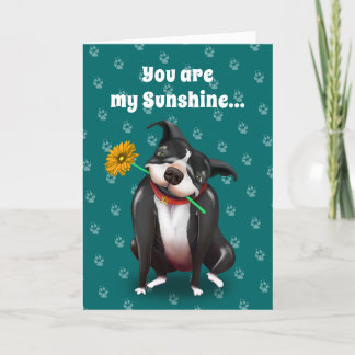 Dog Valentine Greeting Cards | You Are My Sunshine