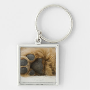 Dog, view of leg keychain