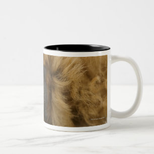 Dog, view of leg Two-Tone coffee mug