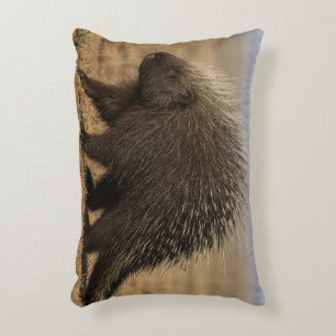 Dog vs. Porcupine Accent Pillow