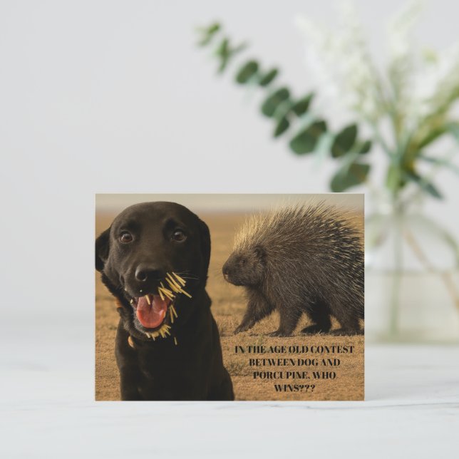 Dog vs. Porcupine Card (Standing Front)