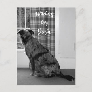 Dog Waiting for Santa Christmas Holiday Postcard