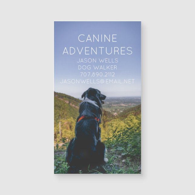 Dog Walker Adventures Walks Or Hikes (Front)