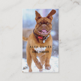 Dog walker business card