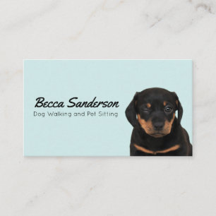 Dog Walker, Groomer, Pet Sitter, Vet Winking Dog Business Card