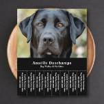 Dog Walker Pet Sitter Photo Tear Off Strips Flyer<br><div class="desc">A sleek and minimalist black flyer with Tear Off Strips featuring a customizable photo of a cute black Labrador,  perfect for dog walker & pet sitter,  Canine Behaviour Educator,  groomer. You can replace the photo with your own logo! On the back there is a dog paw pattern!</div>