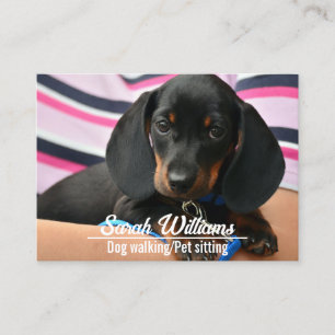 Dog Walker Pet Sitting Care Puppy Business Card