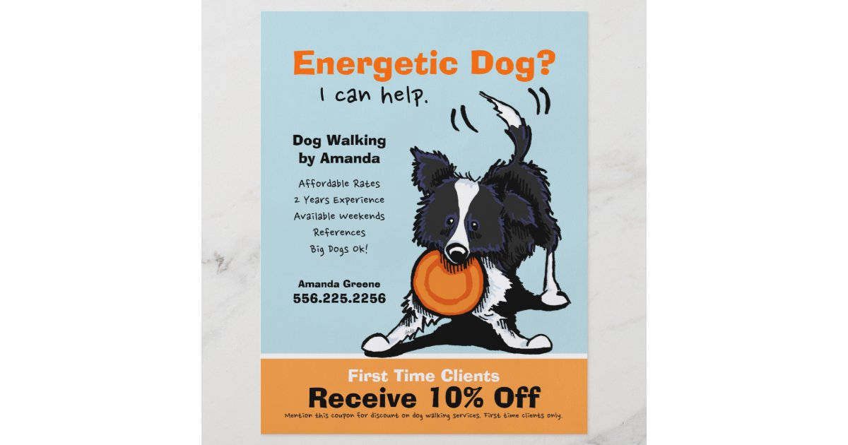Dog Walker Walking Ad Coupon Border Collie Full Color