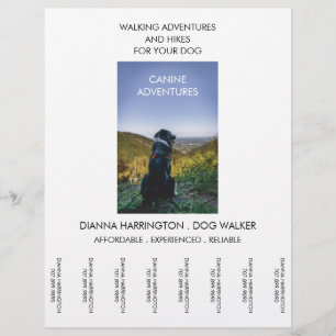 Dog Walker Walking Adventure Walks And Hikes Flyer