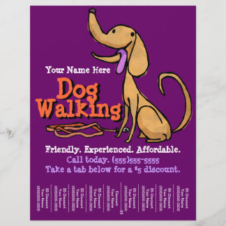 Dog Walking.Advertising Promotional Flyer