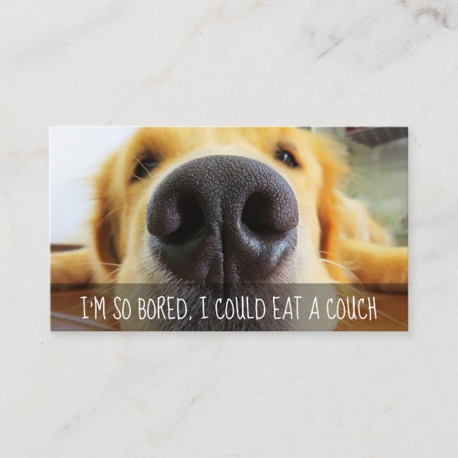 Dog Walking Service Customizable Promotional Card (Front)