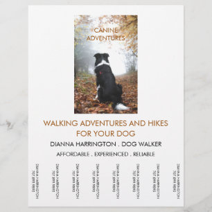 Dog Walking Walker Adventure Walks And Hikes Flyer