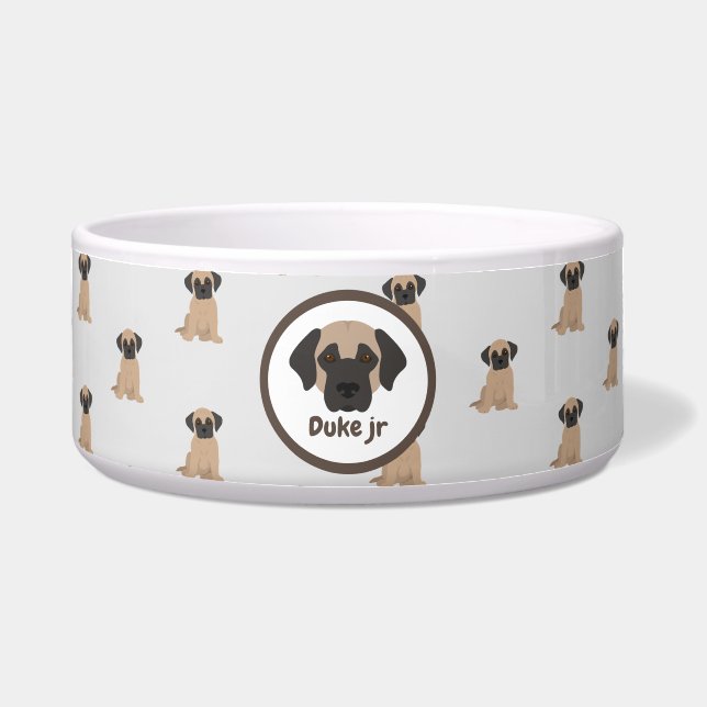 Dog water bowl (Front)