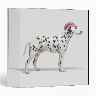 Dog wearing a hat binder