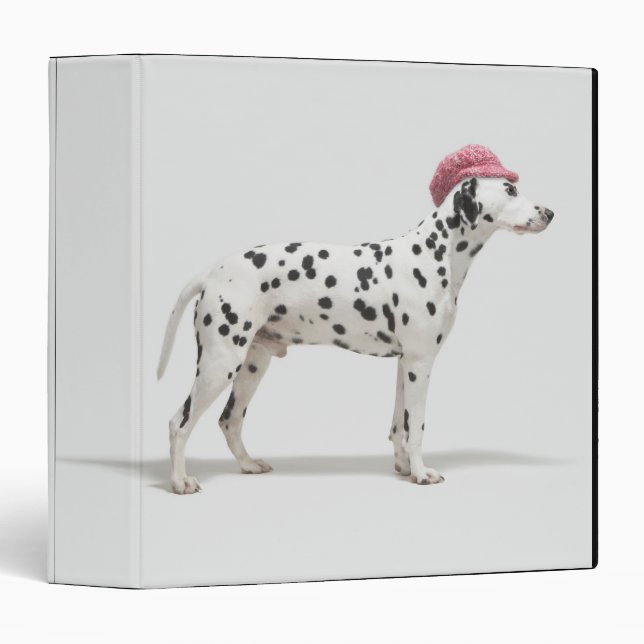 Dog wearing a hat binder (Front/Spine)