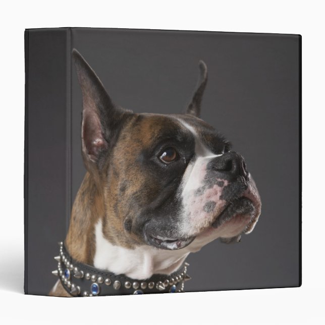 Dog wearing collar, looking away binder (Front/Spine)