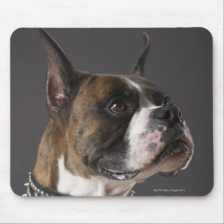 Dog wearing collar, looking away mouse pad
