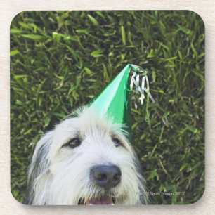 Dog wearing party hat coaster