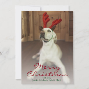 Dog wearing reindeer antlers holiday card