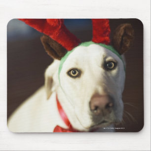 Dog wearing reindeer antlers mouse pad