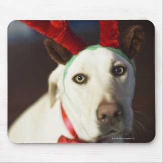 Dog wearing reindeer antlers mouse pad
