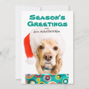Dog wearing santa hat, holding present holiday card