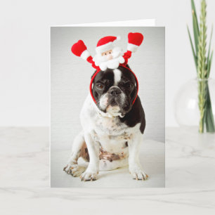 Dog wearing santa headband holiday card