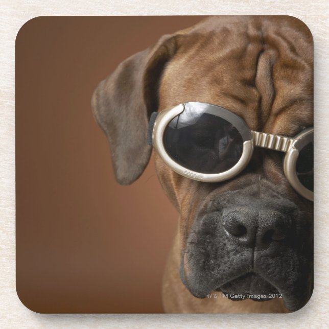 Dog wearing sunglasses 3 coaster (Front)