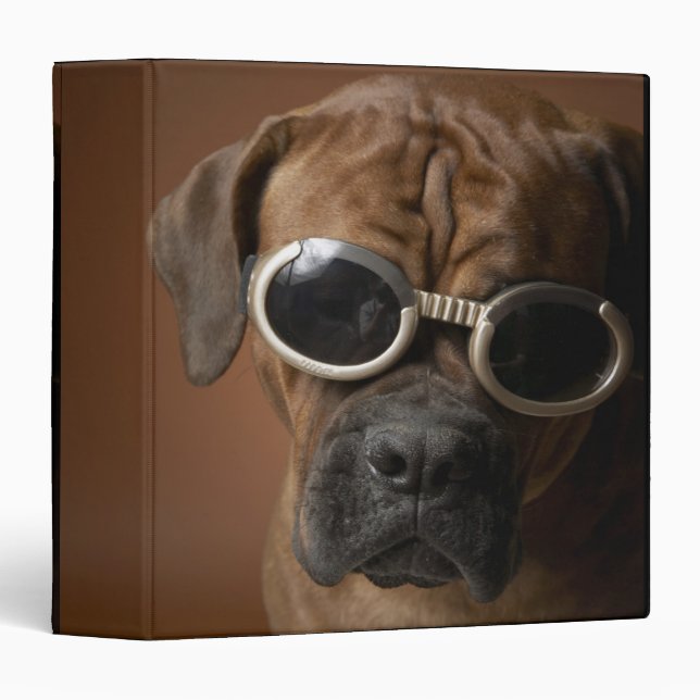 Dog wearing sunglasses binder (Front/Spine)