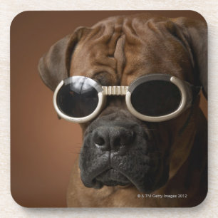 Dog wearing sunglasses coaster