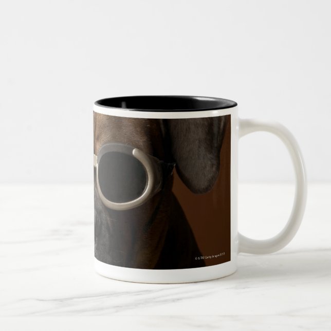 Dog wearing sunglasses Two-Tone coffee mug (Right)