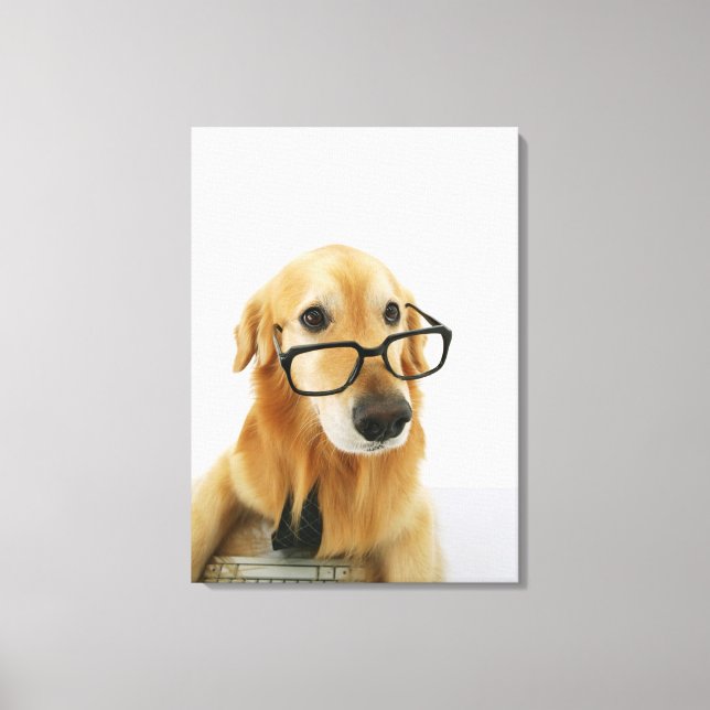 Dog wearing  tie and glasses sitting on chair in canvas print (Front)