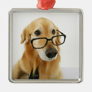 Dog wearing tie and glasses sitting on chair in metal ornament